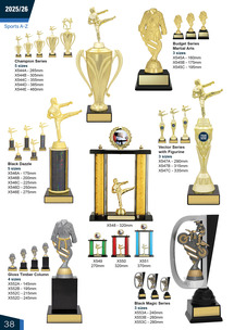 Martial Arts Awards Page 38