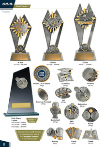 Ice Hockey Awards Page 8