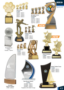 Snooker/Pool/8 Ball Awards Page 43