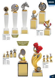 Snooker/Pool/8 Ball Awards Page 47