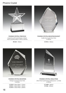 Phoenix Crystal Awards Page 16