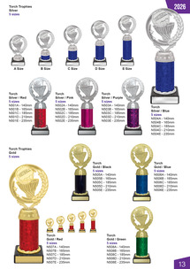Netball Awards Page 13 Netball Awards Page 13