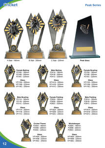 Cricket Trophies and Awards p12